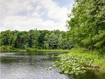 Captivating lake view